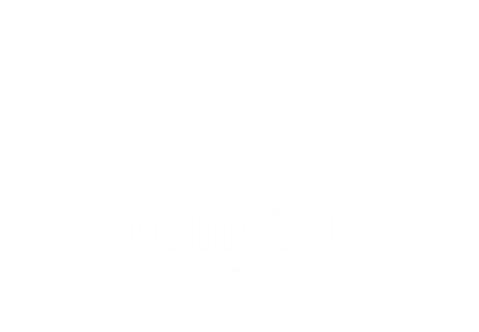 datametricalogo